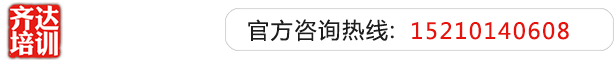 中日韩美女被操视频齐达艺考文化课-艺术生文化课,艺术类文化课,艺考生文化课logo